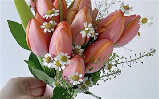 2029年04月01日结婚日子如何 今日办婚礼好吗 2029年04月01日结婚日子如何 今日办婚礼好吗