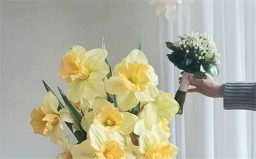 2029年03月06日结婚吉日查询 是办婚礼好日子吗 2029年03月06日结婚吉日查询 是办婚礼好日子吗