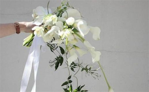 2027年农历二月初二领证黄道吉日 是登记结婚好日子吗 2027年农历二月初二领证黄道吉日 是登记结婚好日子吗