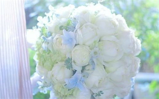 2027年02月19日领证黄道吉日 今日领证好不好