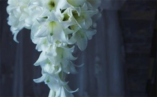 2026年农历九月初六领证好吗 宜登记领证吉日查询 2026年农历九月初六领证好吗 宜登记领证吉日查询