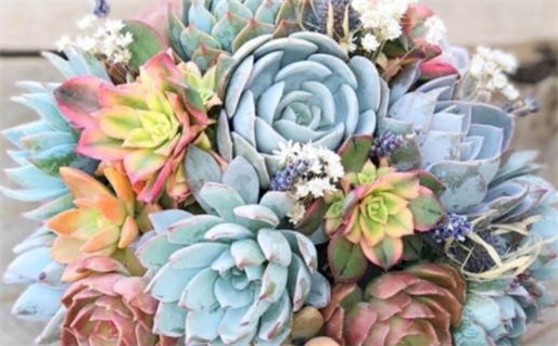 2027年02月04日领证好吗 是领证好日子吗