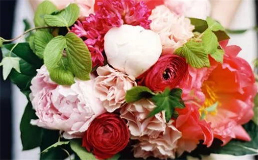 2026年12月12日领证好不好 今日领证好吗