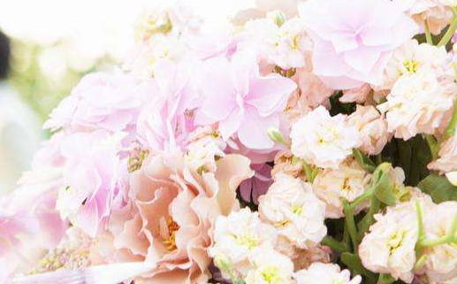 2026年08月19日是领证好日子吗 宜领证结婚吉日查询 2026年08月19日是领证好日子吗 宜领证结婚吉日查询