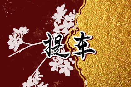 2025年农历八月初二提车黄道吉日 今日提车买车好不好