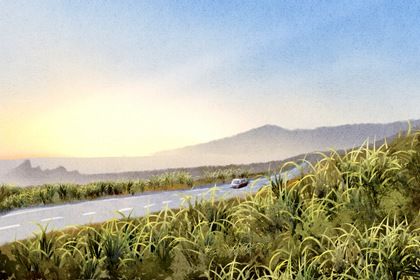 2026年农历八月初九提车日子如何 今日提新车好不好