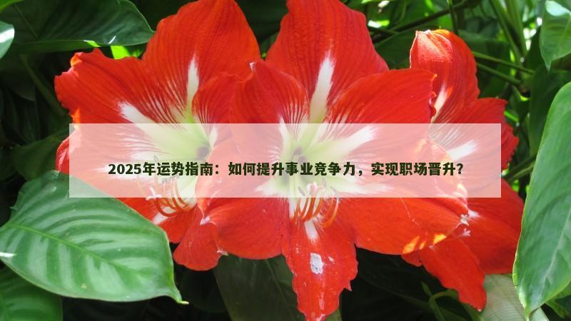 2025年运势指南：如何提升事业竞争力，实现职场晋升？