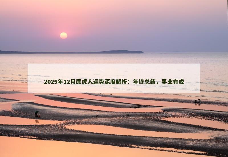 2025年12月属虎人运势深度解析:年终总结,事业有成
