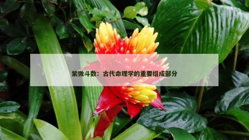 紫微斗数:古代命理学的重要组成部分