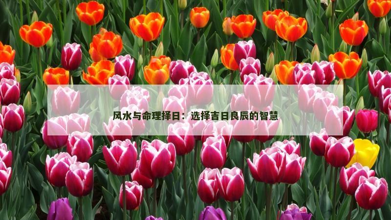 风水与命理择日:选择吉日良辰的智慧