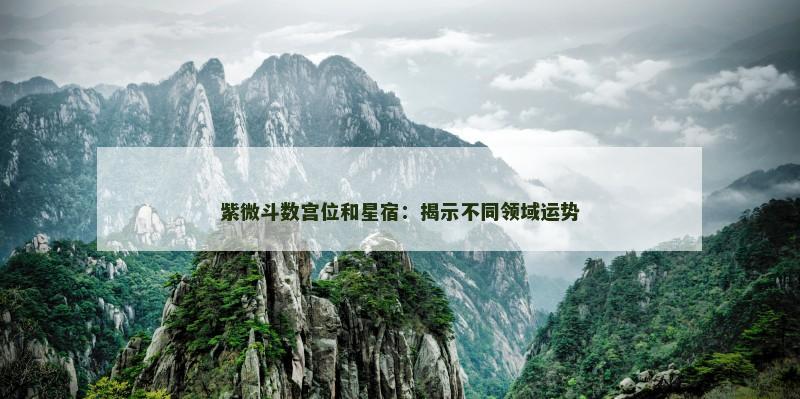 紫微斗数宫位和星宿:揭示不同领域运势