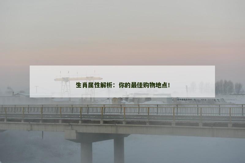 生肖属性解析:你的最佳购物地点!