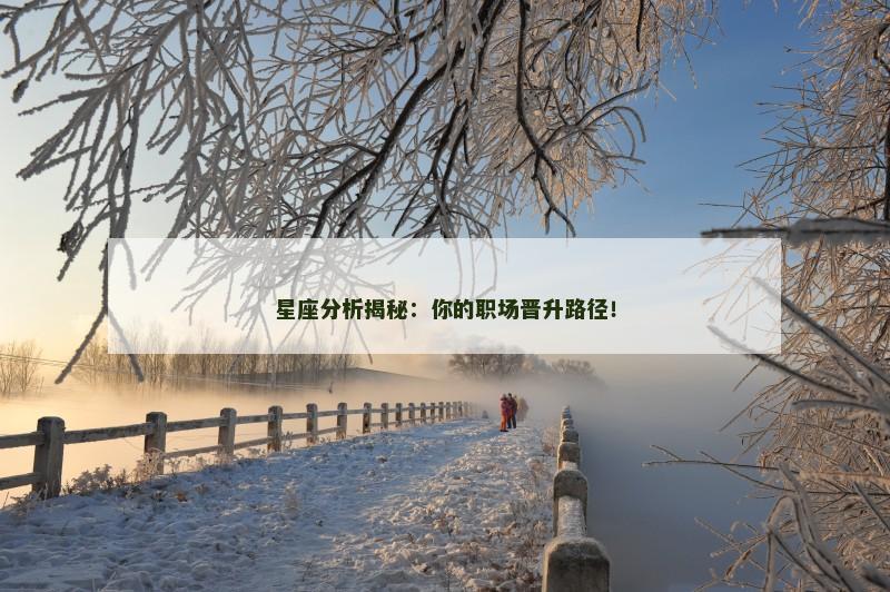 星座分析揭秘:你的职场晋升路径!