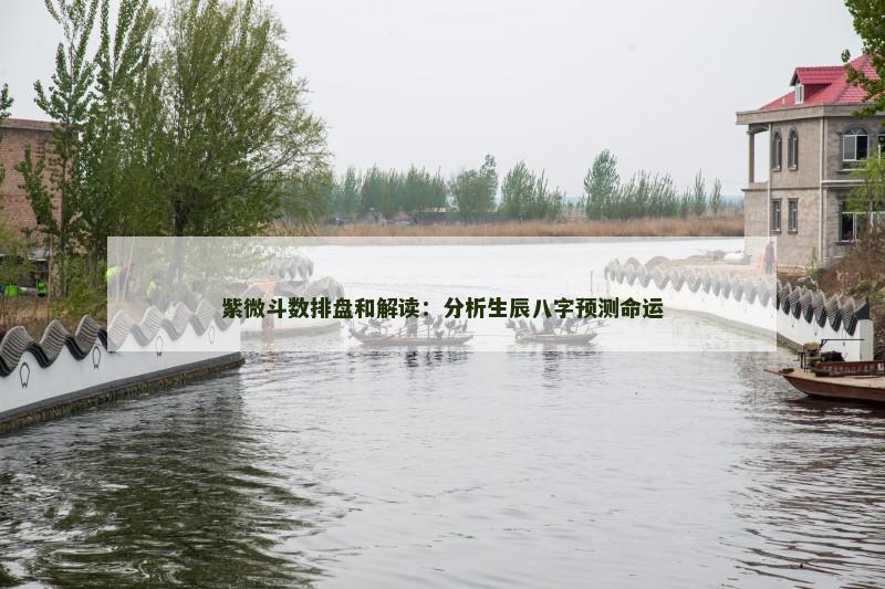 紫微斗数排盘和解读:分析生辰八字预测命运