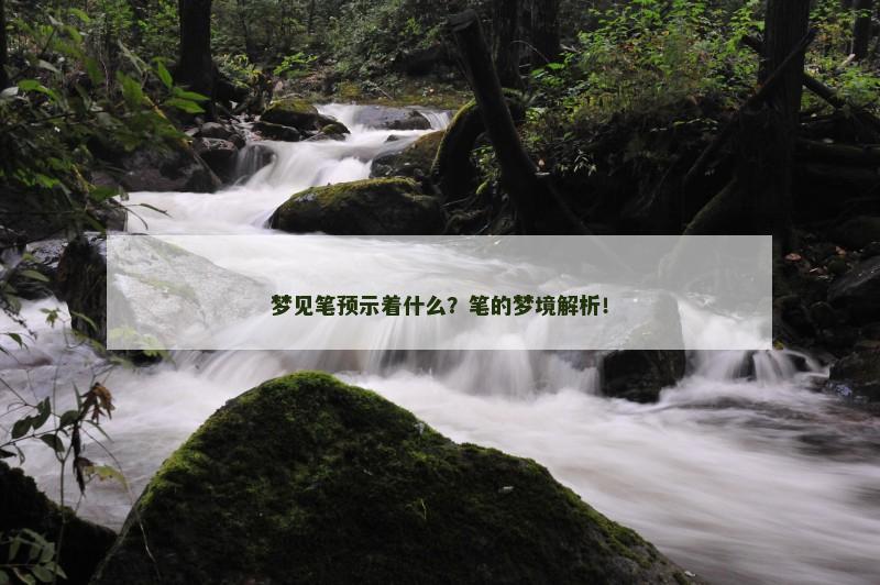 梦见笔预示着什么?笔的梦境解析!