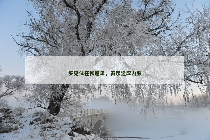 梦见住在帐篷里,表示适应力强