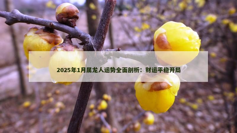 2025年1月属龙人运势全面剖析:财运平稳开局