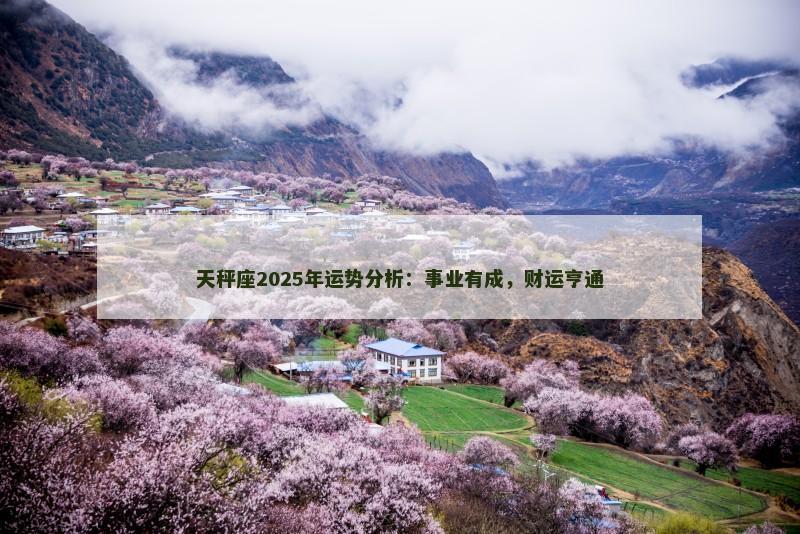 天秤座2025年运势分析:事业有成,财运亨通