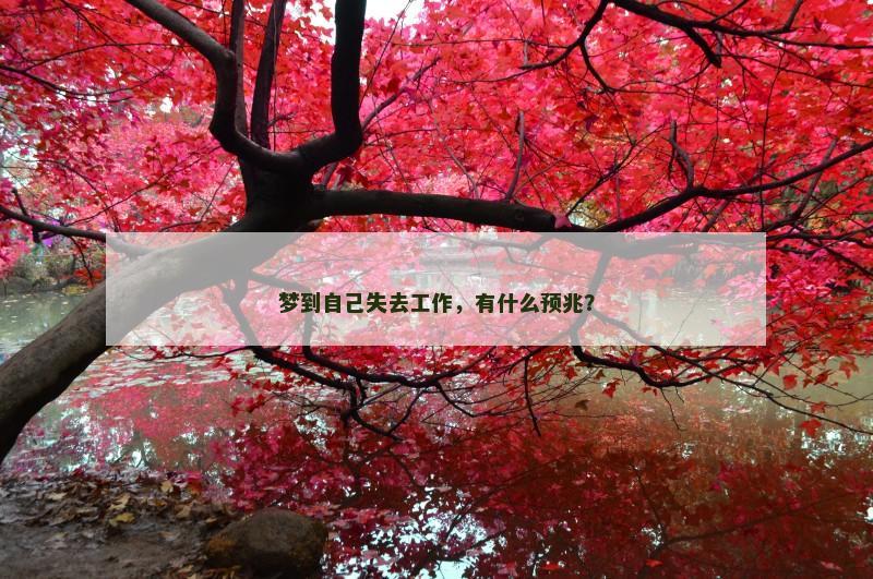 梦到自己失去工作,有什么预兆?