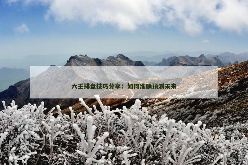 六壬排盘技巧分享:如何准确预测未来