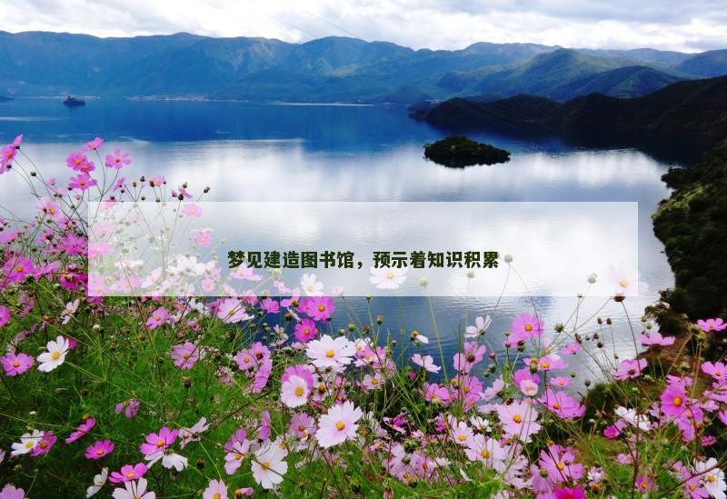 梦见建造图书馆,预示着知识积累