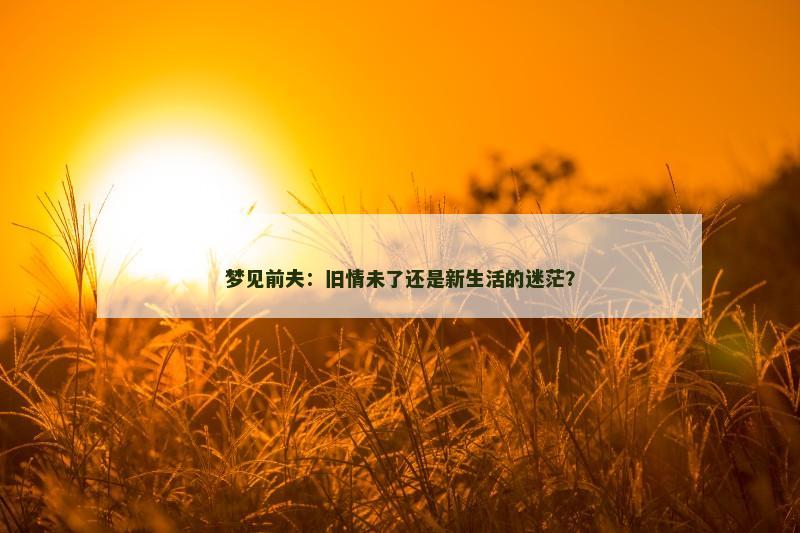 梦见前夫:旧情未了还是新生活的迷茫?
