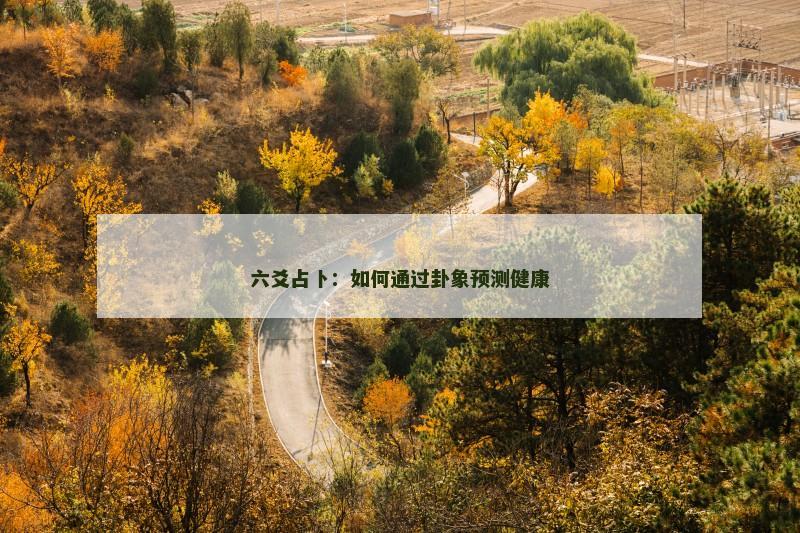 六爻占卜:如何通过卦象预测健康