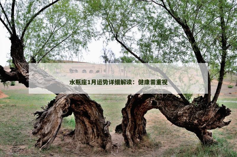 水瓶座1月运势详细解读:健康需重视