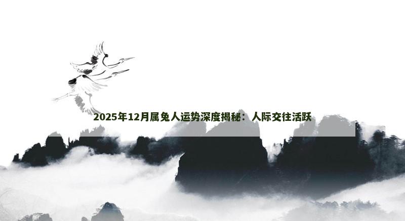 2025年12月属兔人运势深度揭秘:人际交往活跃
