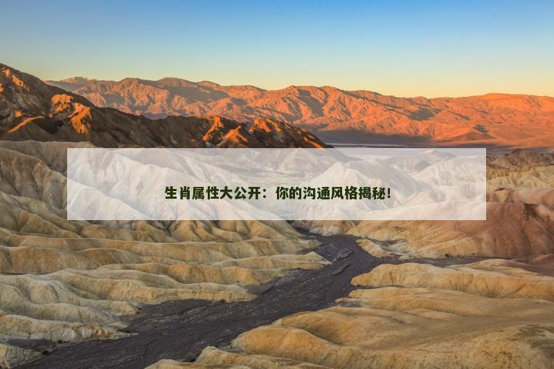 生肖属性大公开:你的沟通风格揭秘!