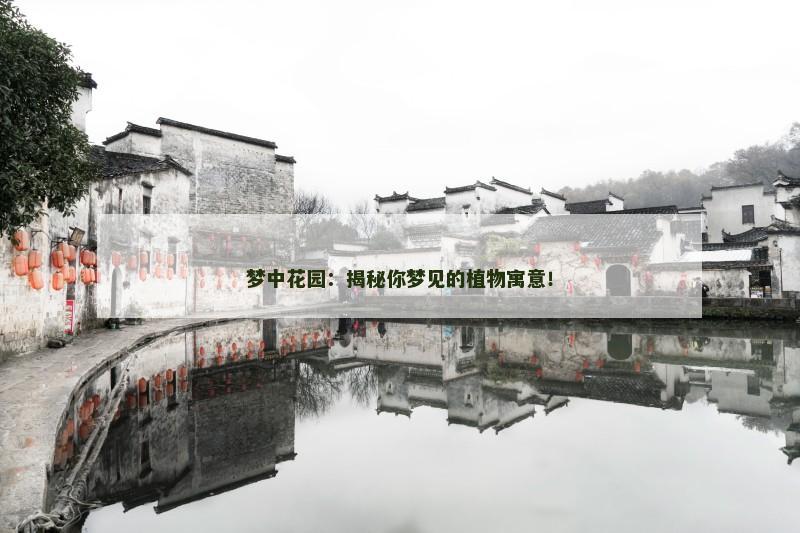 梦中花园:揭秘你梦见的植物寓意!