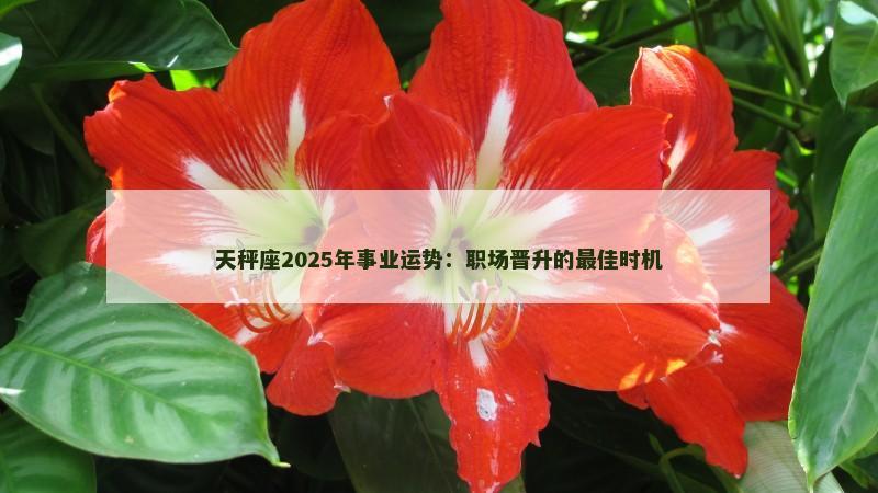 天秤座2025年事业运势:职场晋升的最佳时机