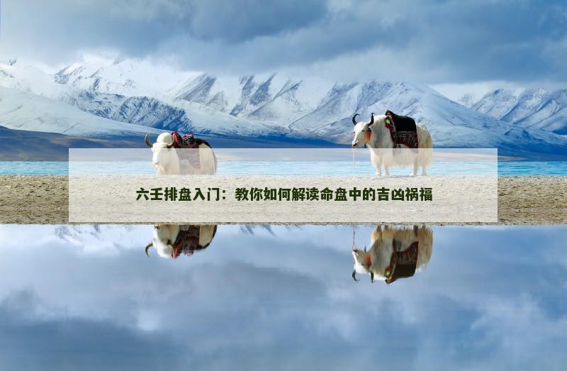 六壬排盘入门:教你如何解读命盘中的吉凶祸福