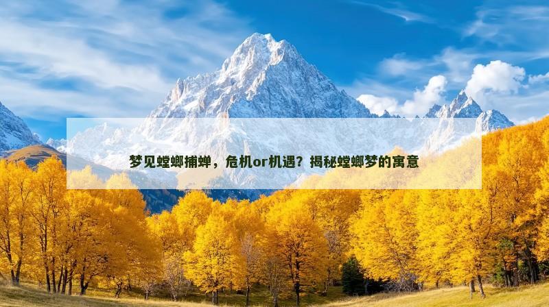 梦见螳螂捕蝉,危机or机遇?揭秘螳螂梦的寓意