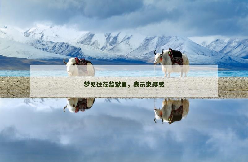 梦见住在监狱里,表示束缚感