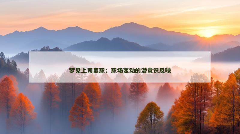梦见上司离职:职场变动的潜意识反映