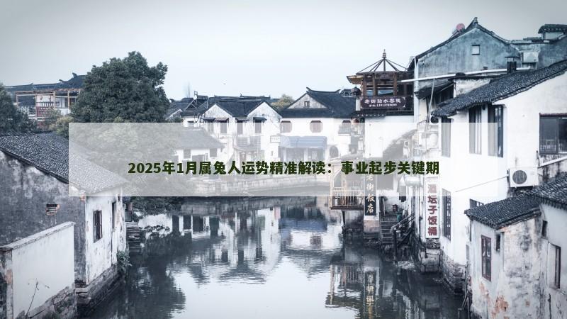 2025年1月属兔人运势精准解读:事业起步关键期