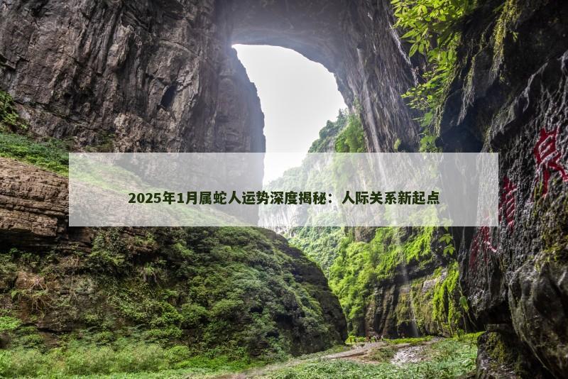 2025年1月属蛇人运势深度揭秘:人际关系新起点