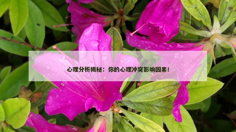 心理分析揭秘:你的心理冲突影响因素!