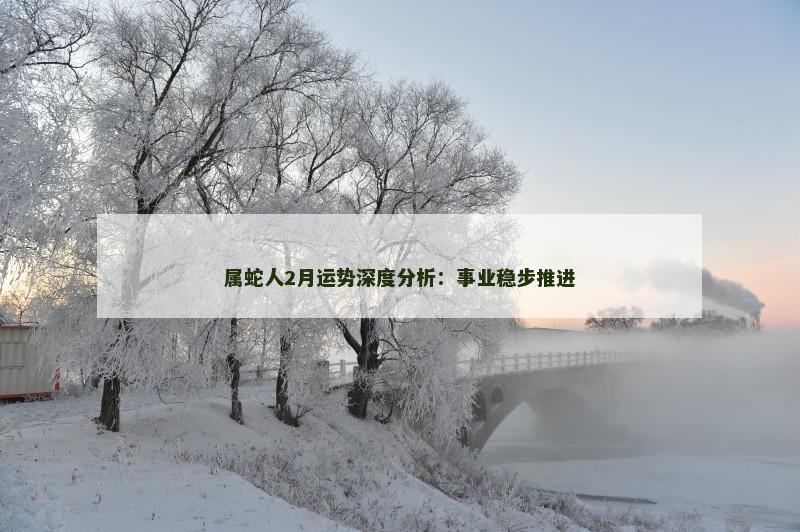 属蛇人2月运势深度分析:事业稳步推进