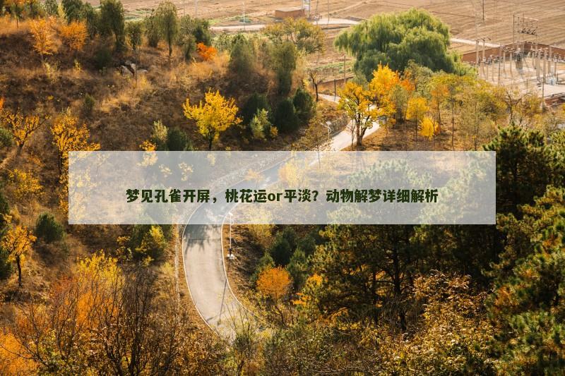 梦见孔雀开屏,桃花运or平淡?动物解梦详细解析
