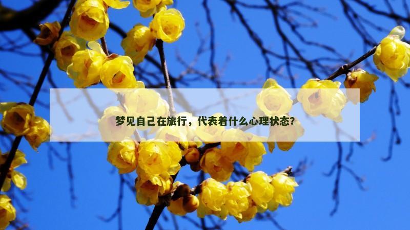 梦见自己在旅行,代表着什么心理状态?