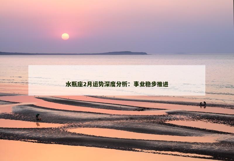 水瓶座2月运势深度分析:事业稳步推进