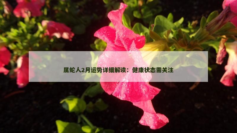 属蛇人2月运势详细解读:健康状态需关注