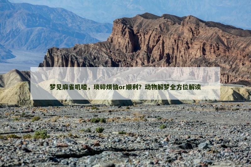 梦见麻雀叽喳,琐碎烦恼or顺利?动物解梦全方位解读