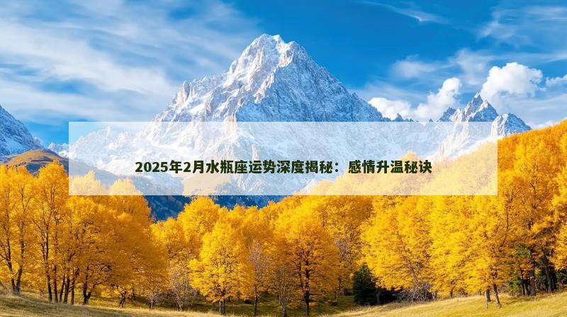 2025年2月水瓶座运势深度揭秘:感情升温秘诀