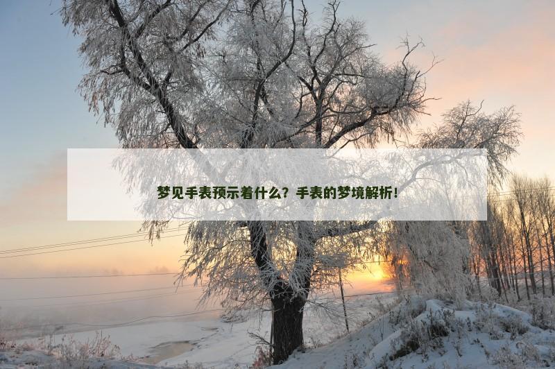 梦见手表预示着什么?手表的梦境解析!