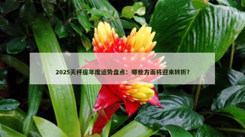 2025天秤座年度运势盘点:哪些方面将迎来转折?