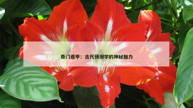 奇门遁甲:古代预测学的神秘魅力
