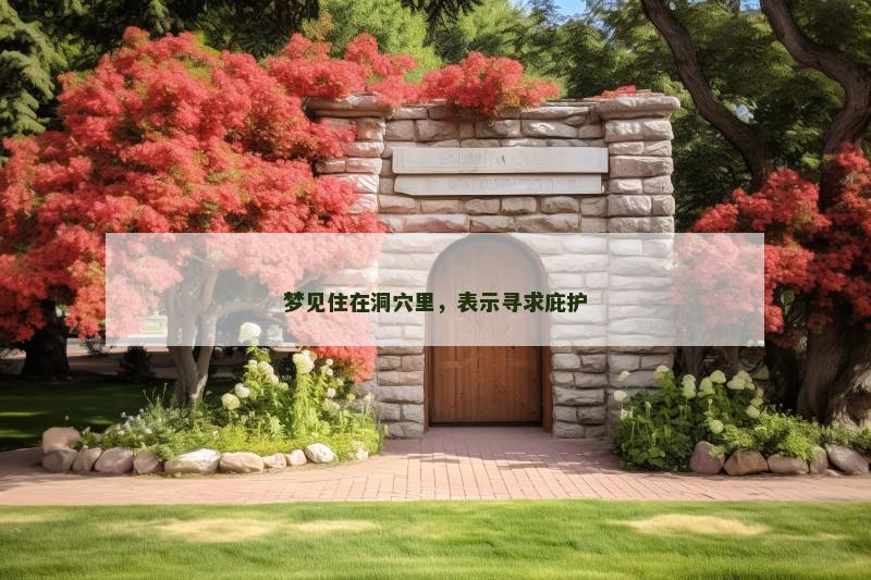 梦见住在洞穴里,表示寻求庇护